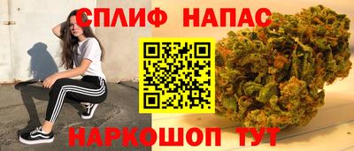 сатива Краснознаменск
