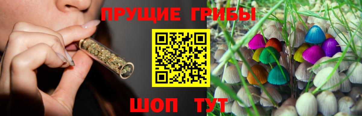 Галлюциногенные грибы MAGIC MUSHROOMS Томск